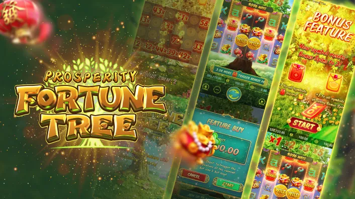 Is Casino Plus PAGCOR‑licensed for Prosperity Fortune Tree Real Money?