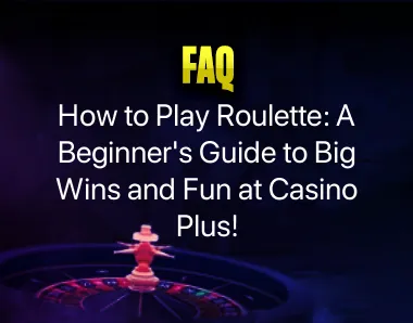 How to Play Roulette